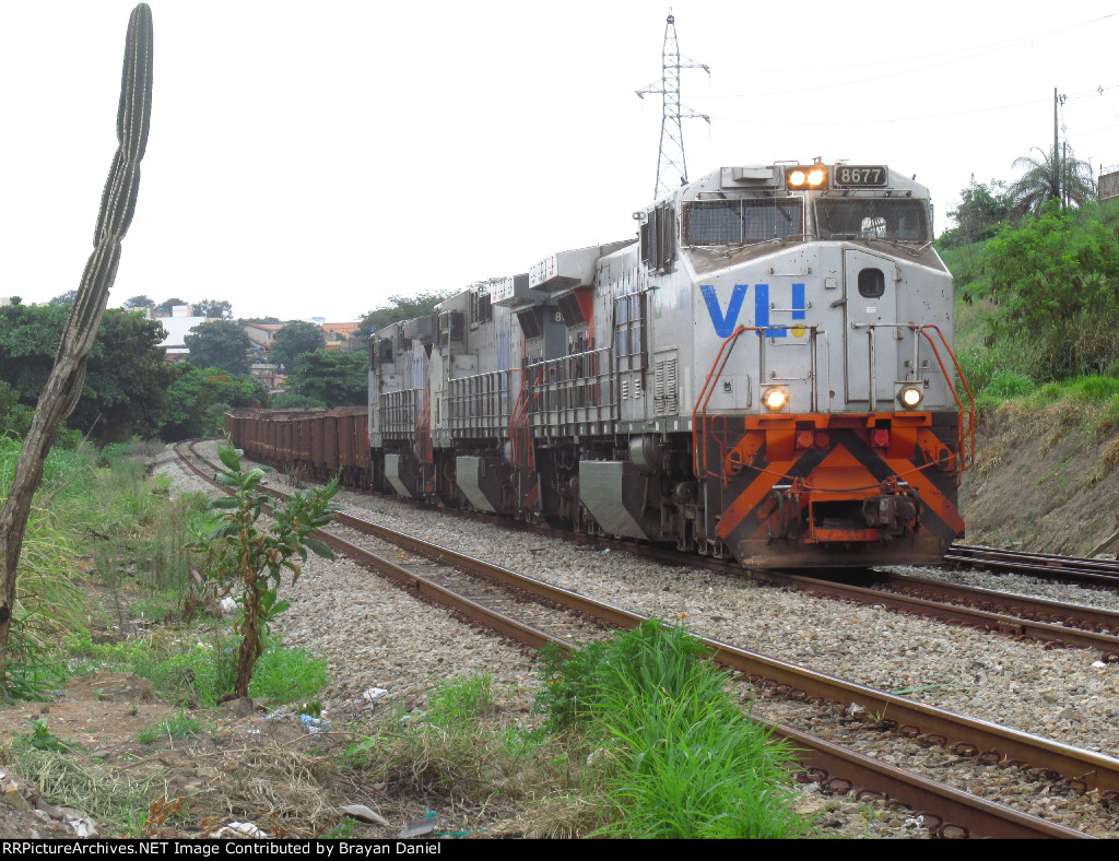 VLI 8677